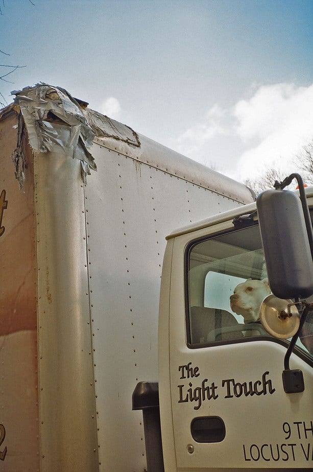 pitbull inside a worn truck